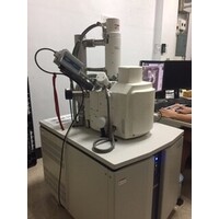 掃描式電子顯微鏡